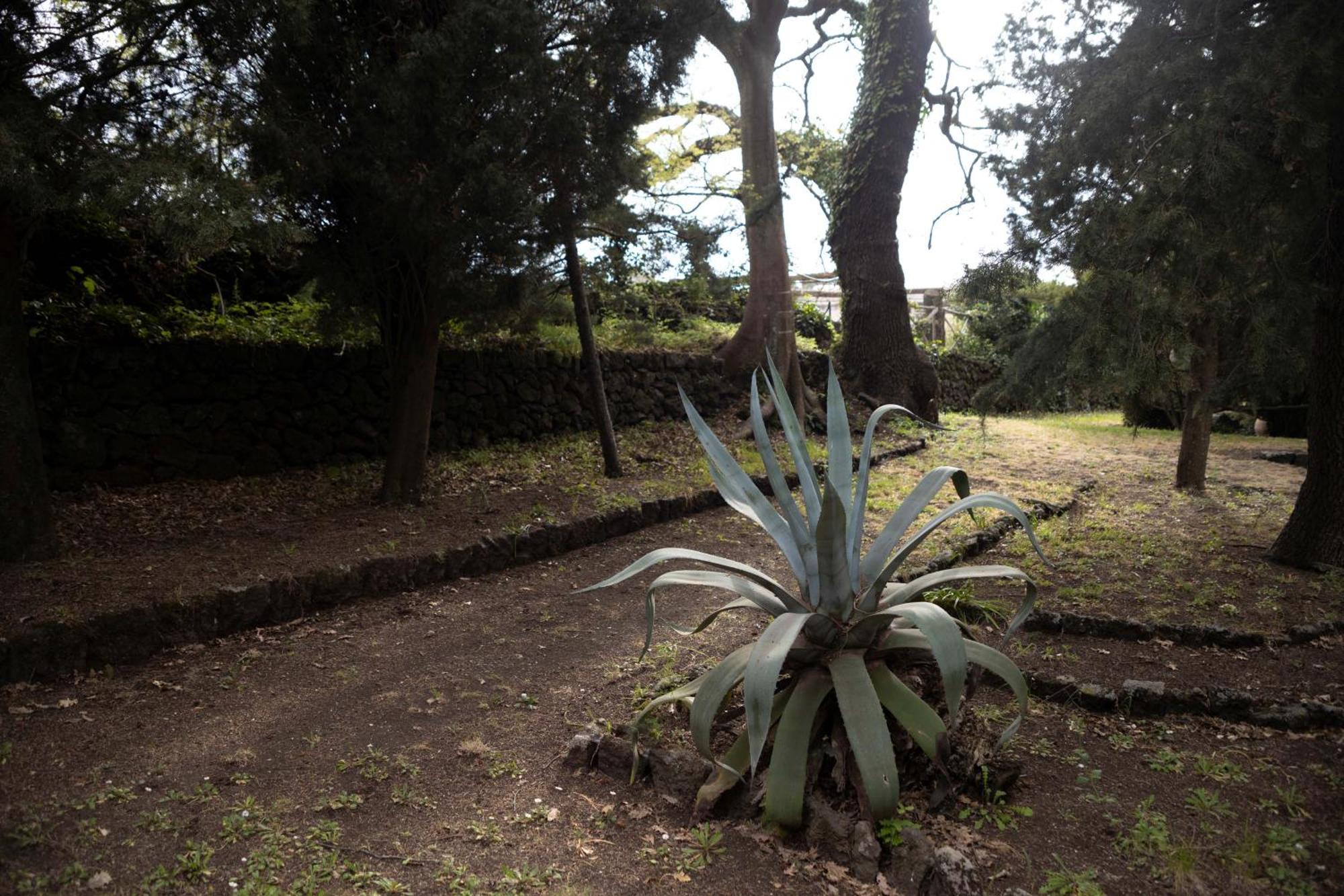 Parco Statella Villa Montelaguardia Kültér fotó