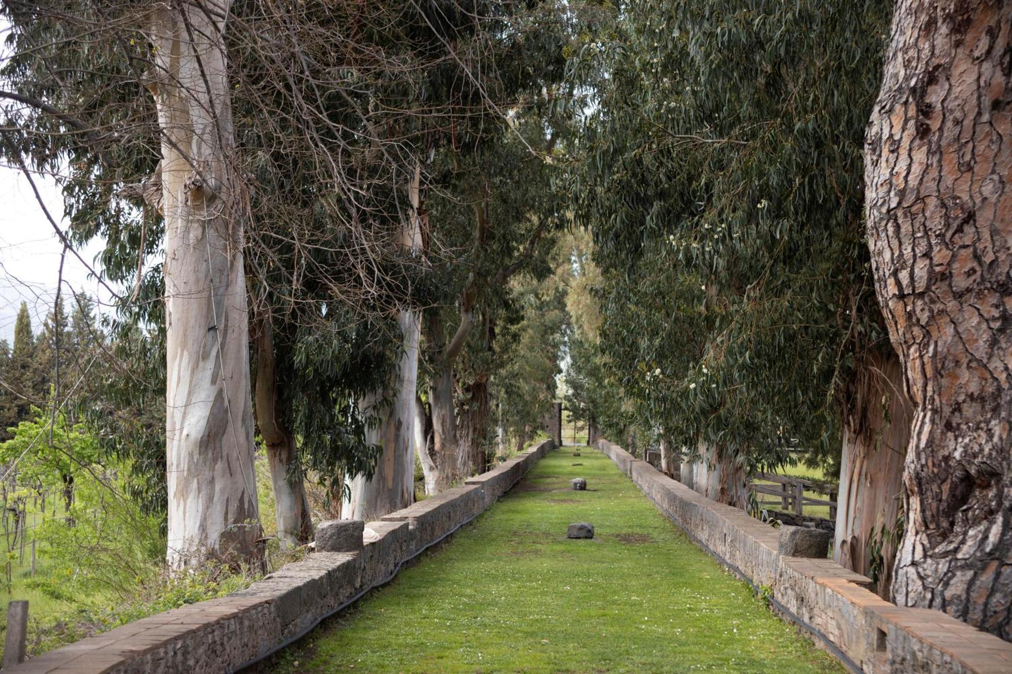 Parco Statella Villa Montelaguardia Kültér fotó