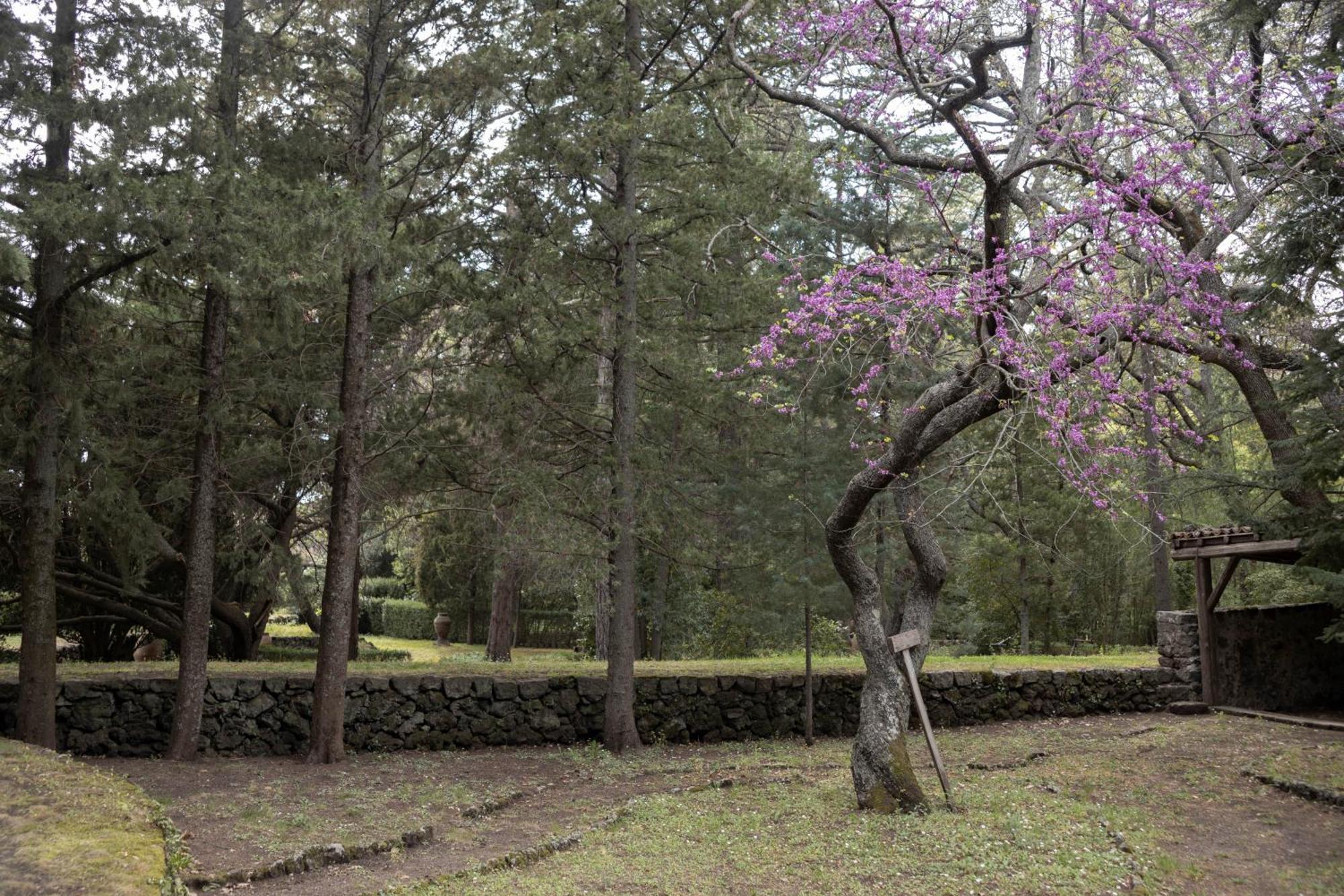 Parco Statella Villa Montelaguardia Kültér fotó