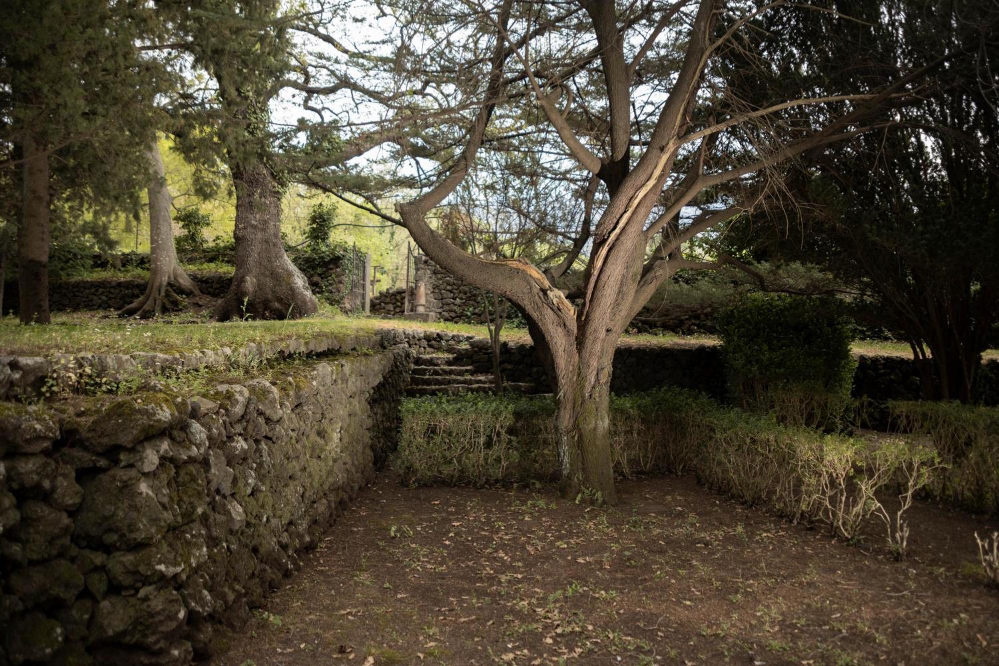Parco Statella Villa Montelaguardia Kültér fotó