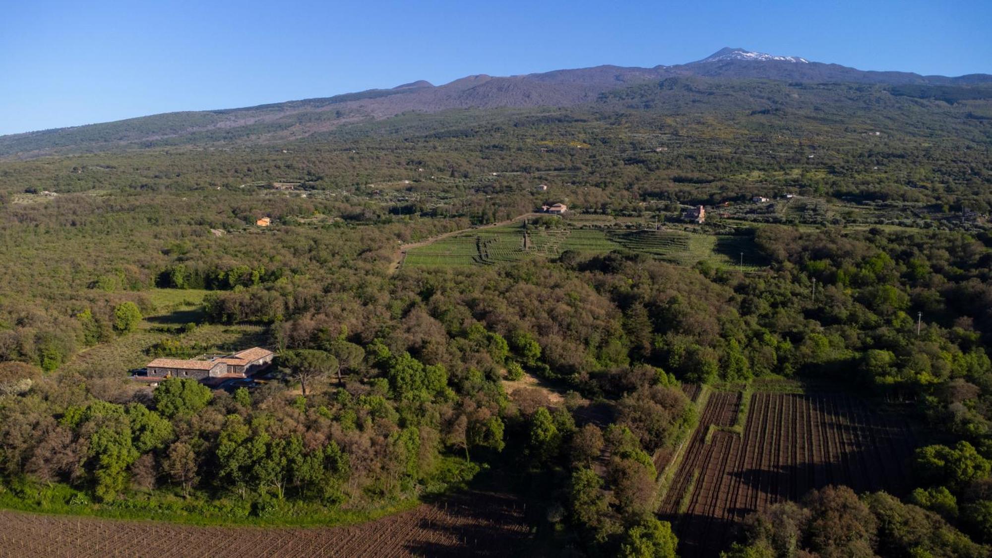 Parco Statella Villa Montelaguardia Kültér fotó