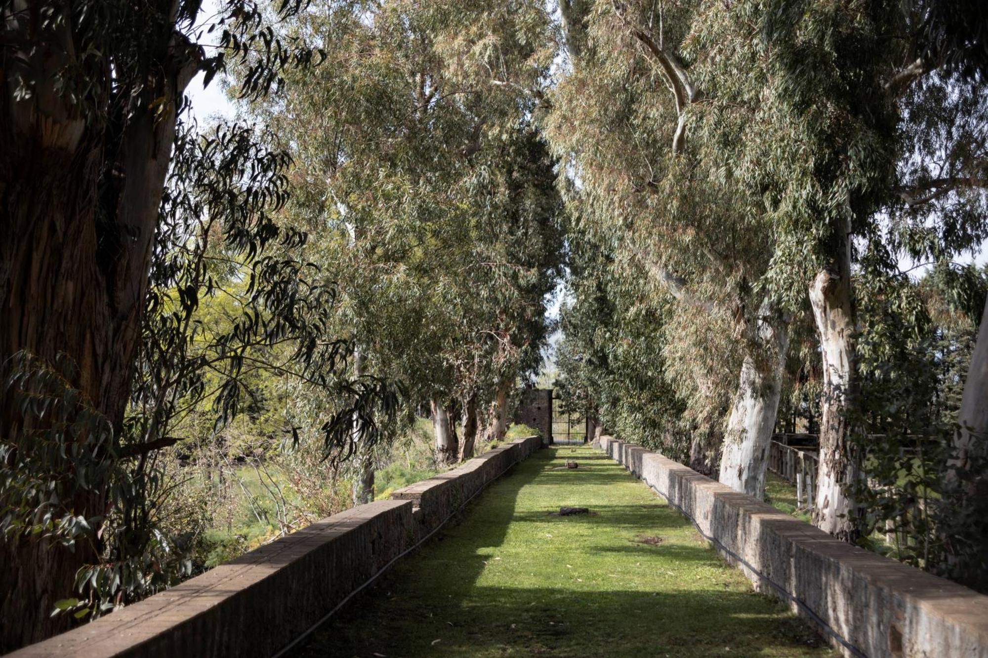 Parco Statella Villa Montelaguardia Kültér fotó