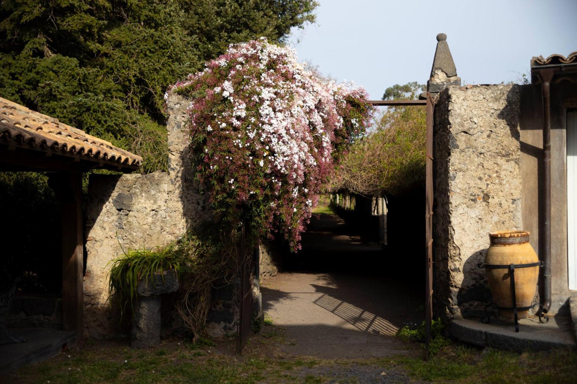 Parco Statella Villa Montelaguardia Kültér fotó