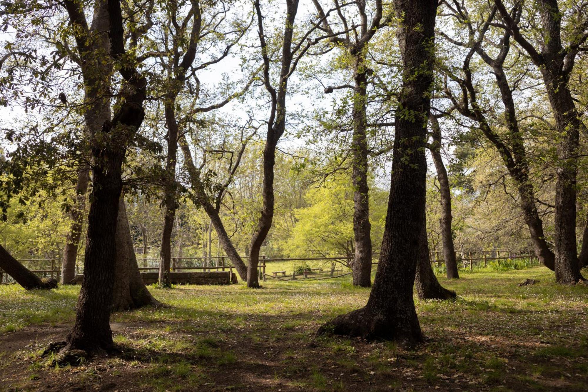 Parco Statella Villa Montelaguardia Kültér fotó