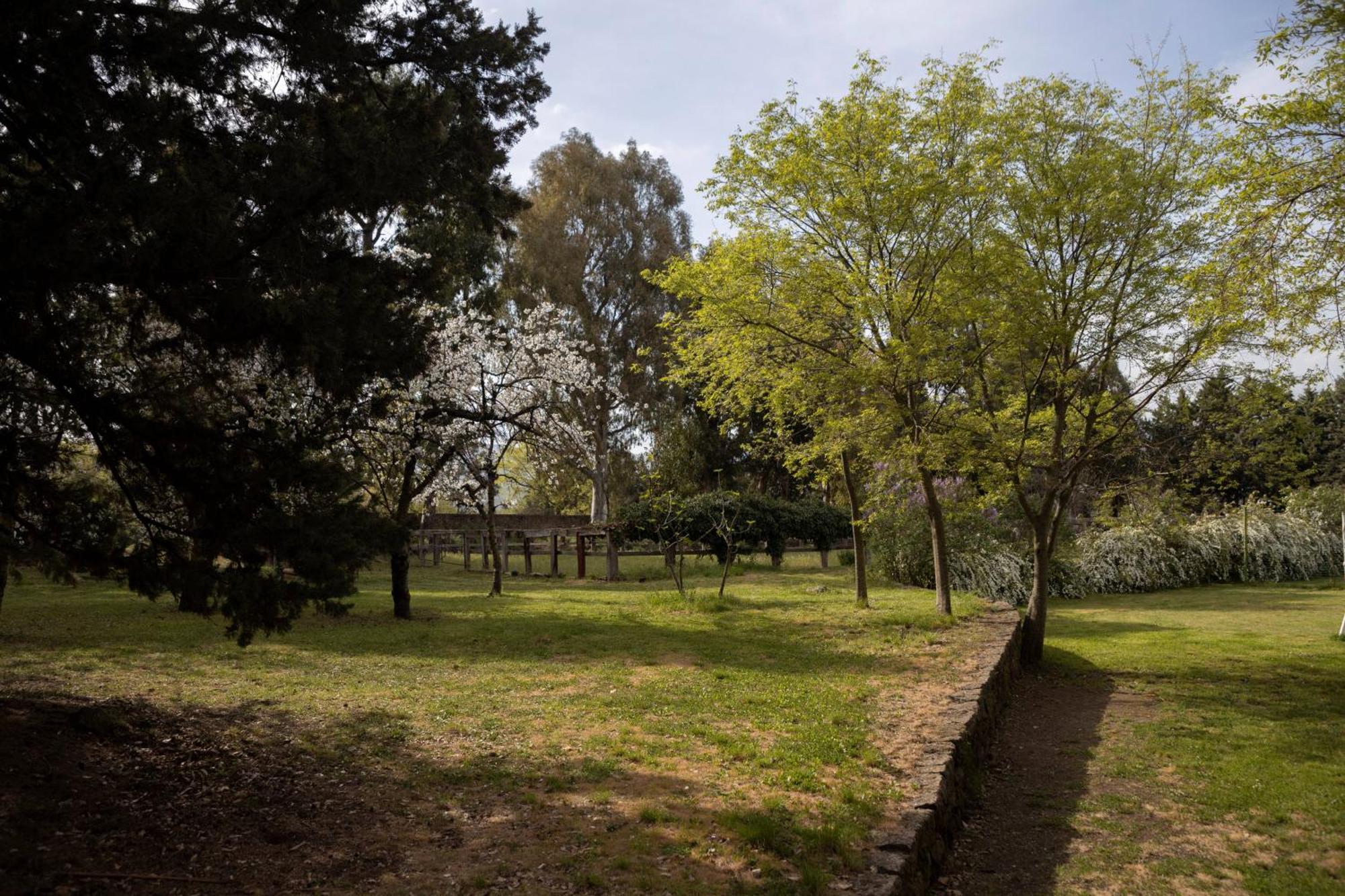 Parco Statella Villa Montelaguardia Kültér fotó